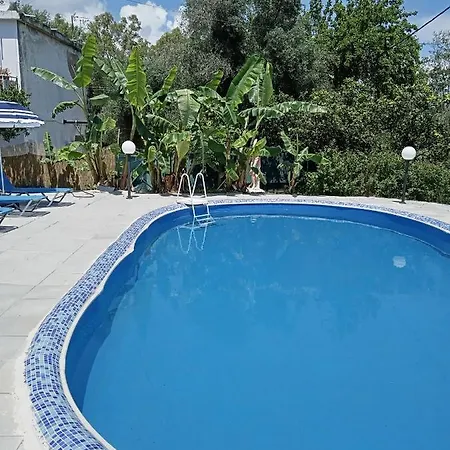 Rose Family Nr1 Mesongí